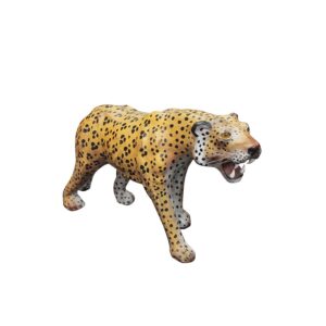 Animal - Leopard-0