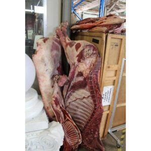Realistic Imitation Meat Carcass - Large-0