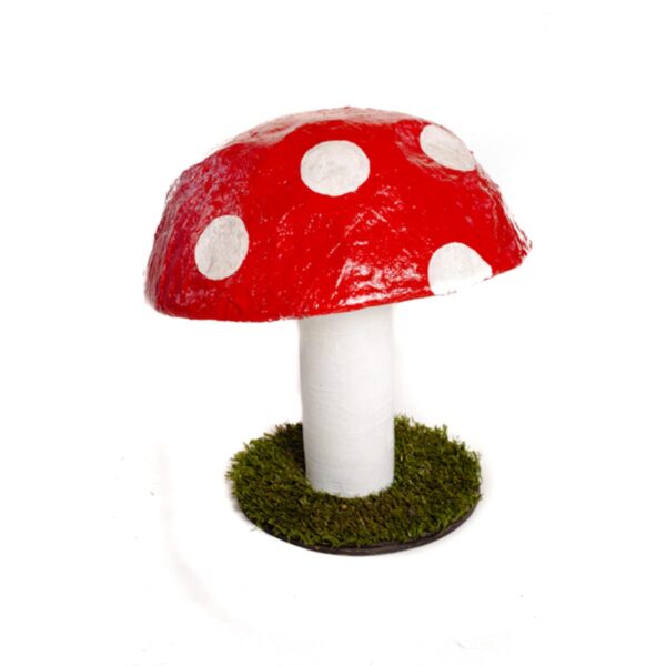 Small Mushroom-0