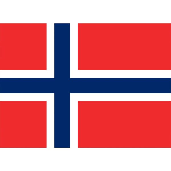 Flag Norway - Medium