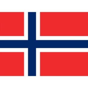 Flag Norway - Large