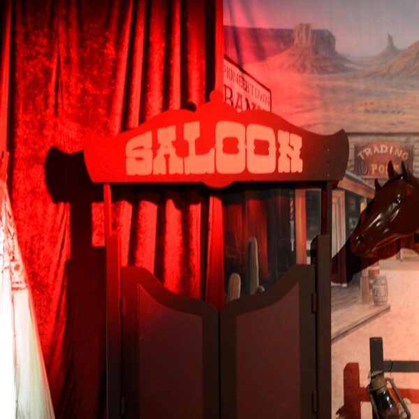 Saloon Door & Hinge-18501