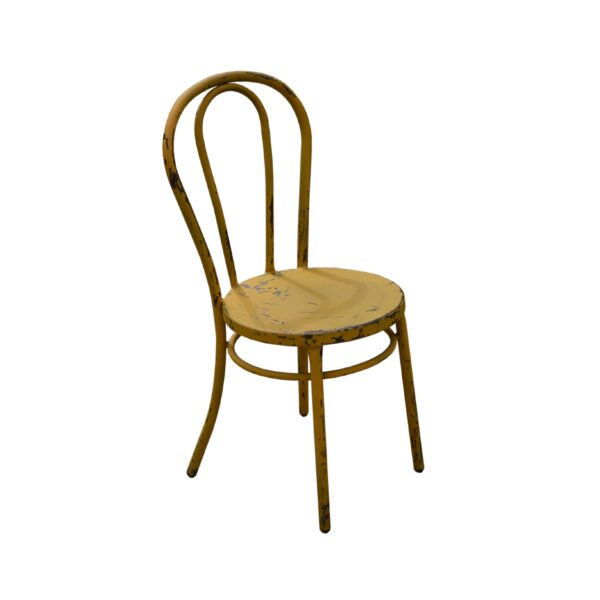 Rustic Painted Steel Bentwood Chair