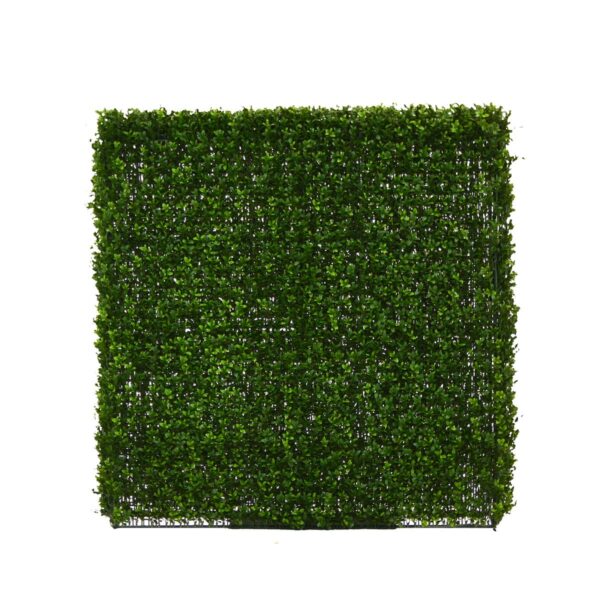 Large Hedge Wall