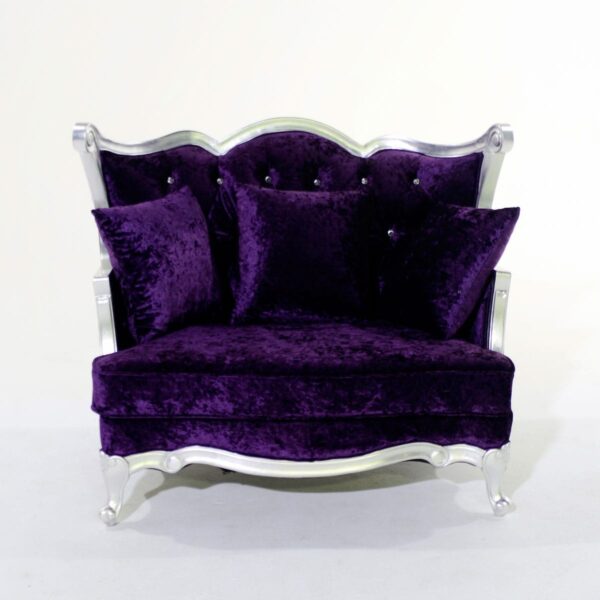 Two Seat Plush Purple Studded Velvet Couch