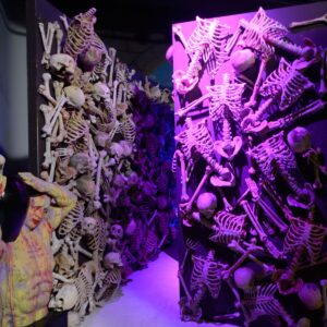 Skull / Skeleton Flats - Sydney Prop Specialists - Prop Hire and Event Theming