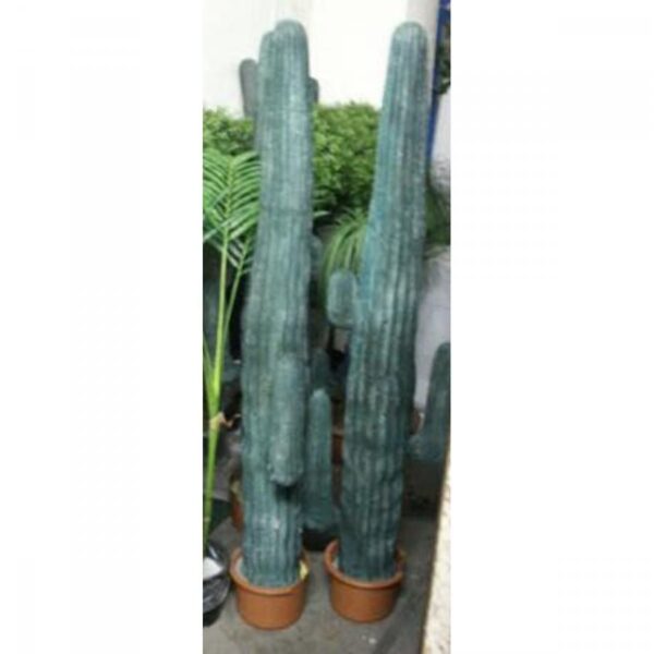 1 x cactus large CACTLGE