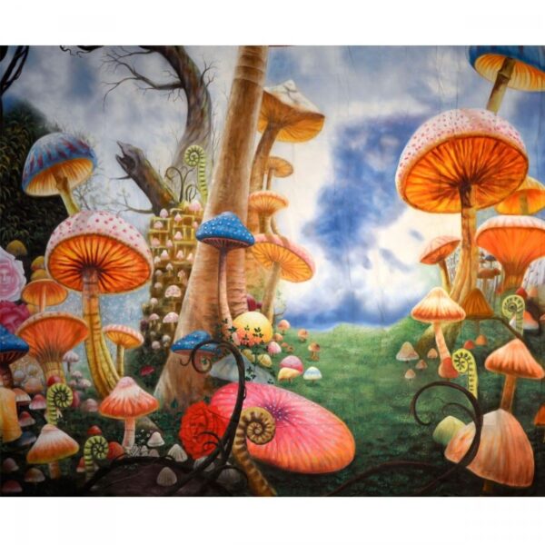 Alice in Wonderland Mushroom Forest Backdrop BD-0063 Size: 4m x 3.6m