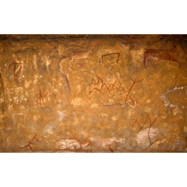 Prehistoric Cave Painting Painted Backdrop BD-0461