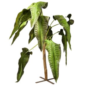 Plant - Jungle Tree, medium
