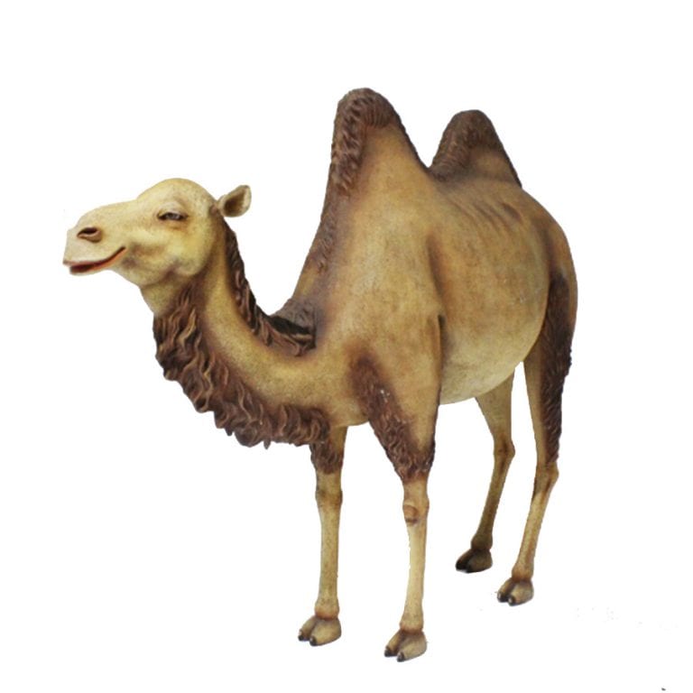 Camel Lifesize Statue