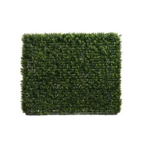 Medium Hedge Wall-0