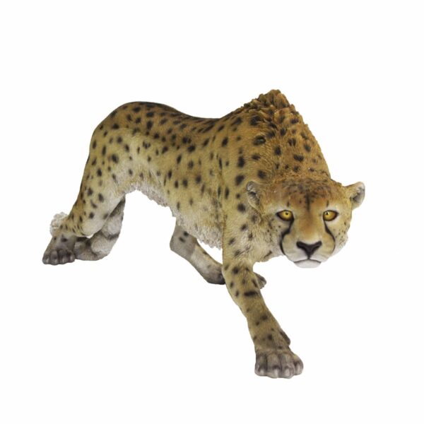 Cheetah -0