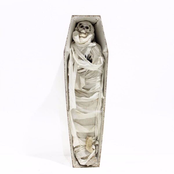 Mummy in Coffin-0