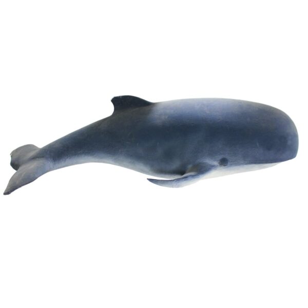 Whale, Large-0