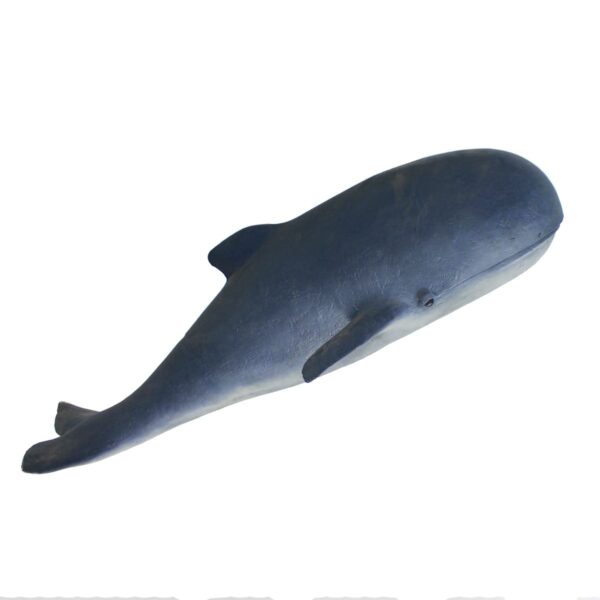 Whale, Large-19170