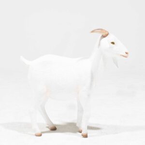 Life-Size Cream Goat Statue-0