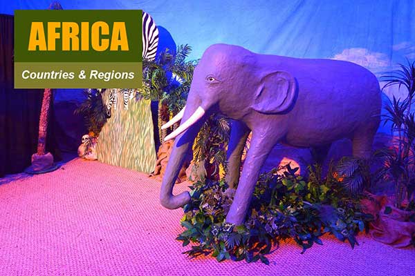 African Theme - Sydney Prop Specialists