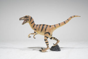 velociraptor-dinosaur-sydney-props-hire