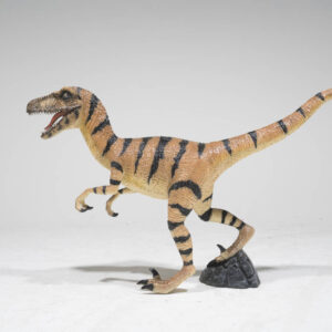 velociraptor-dinosaur-sydney-props-hire