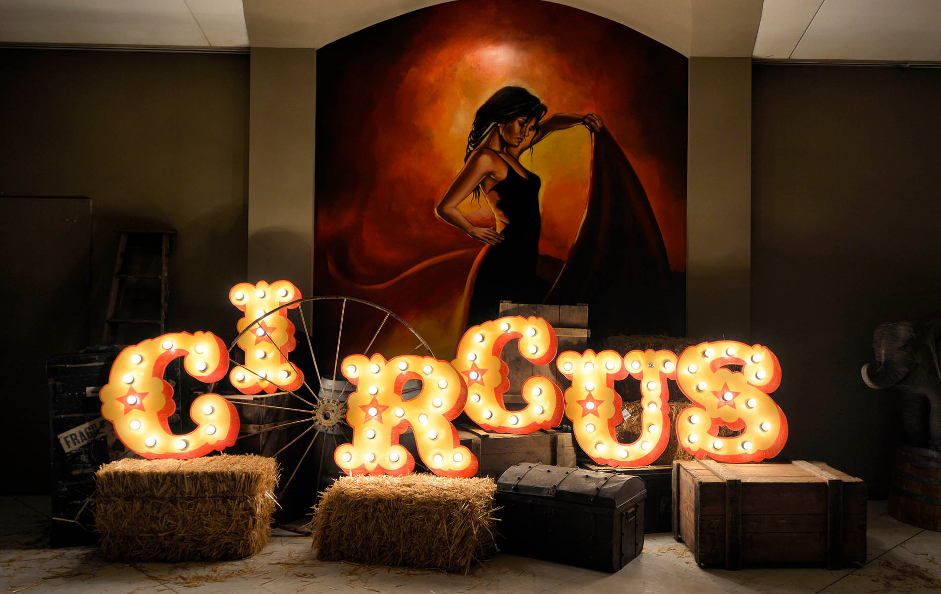 New YEars Eve_0007_IMAGE0005 A Night at the Museum