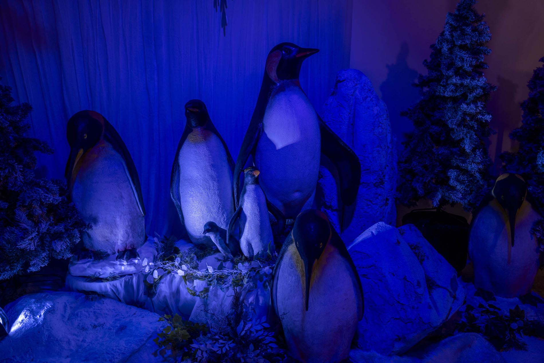 Arctic Expedition prop styling