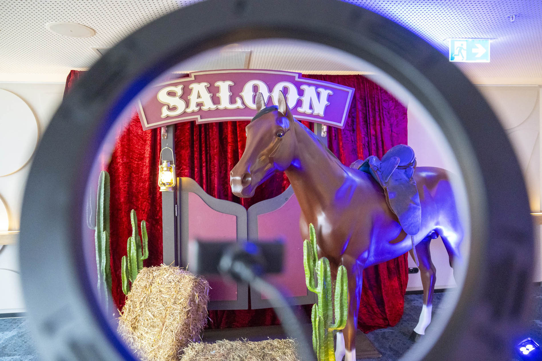 Saloon doors and a horse figure framed through a lasso ring