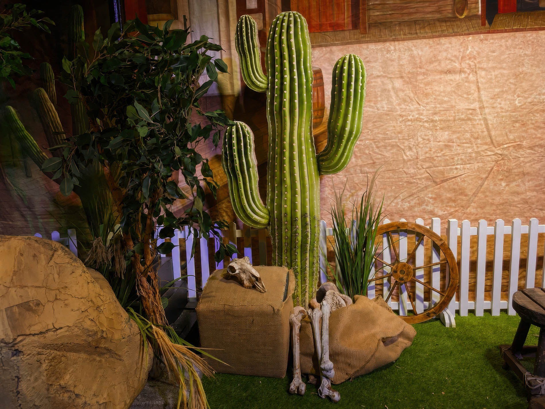 Longhorn skull and bones beside a saguaro cactus and white picket fence